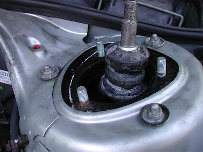 DIY: BlauSport Struts-dscn4304-small-.jpg