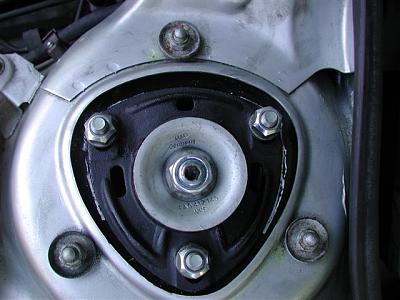 DIY: BlauSport Struts-dscn4307-small-.jpg