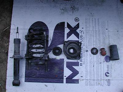 DIY: BlauSport Struts-dscn4315-small-.jpg