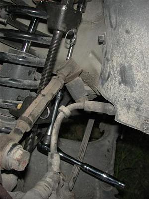 DIY: BlauSport Struts-dscn4314-small-.jpg