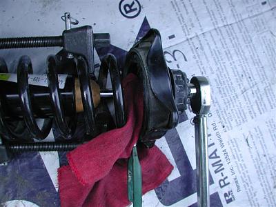 DIY: BlauSport Struts-dscn4320-small-.jpg