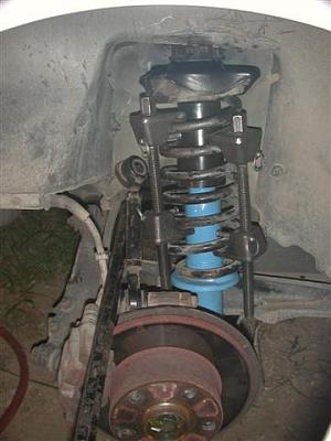 DIY: BlauSport Struts-dscn4321-small-.jpg