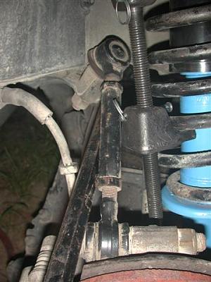 DIY: BlauSport Struts-dscn4323-small-.jpg