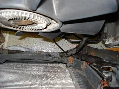 Hoses on back of Intercooler - what are they?-radiator-hose.jpg