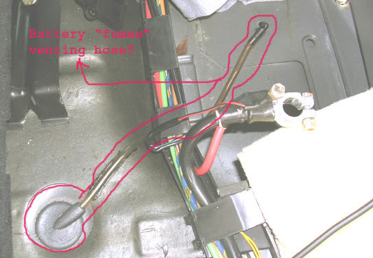 Name:  hose1.jpg
Views: 36
Size:  40.4 KB