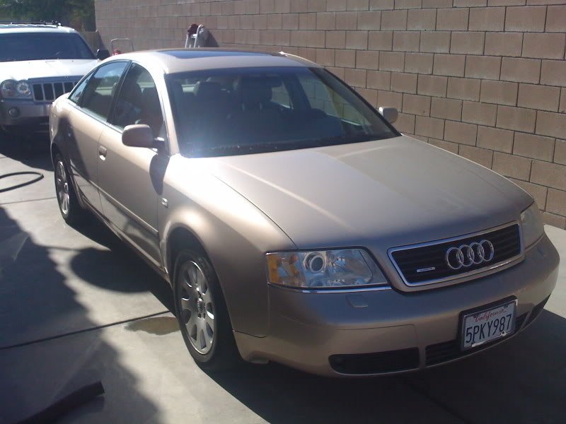 Name:  IMG_0104.jpg
Views: 1100
Size:  56.6 KB