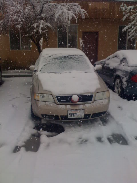 Name:  IMG_0141.jpg
Views: 1085
Size:  42.8 KB