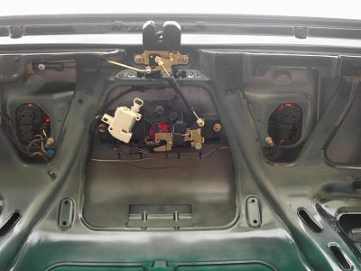 Dual rear fog lamps...-mydc1193.jpg