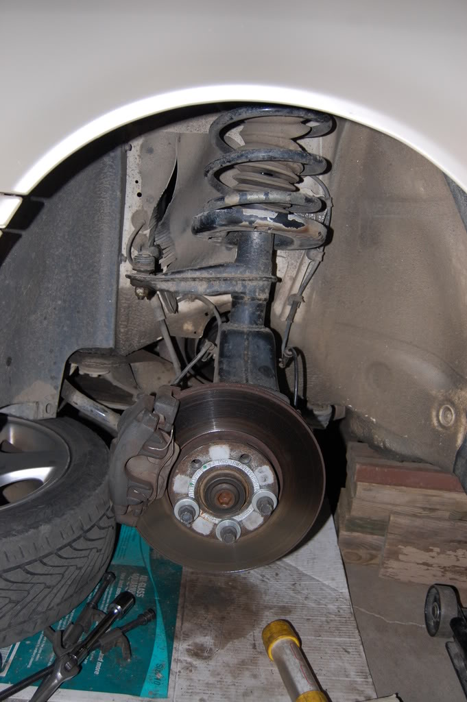 Name:  DSC_0075.jpg
Views: 171
Size:  133.7 KB