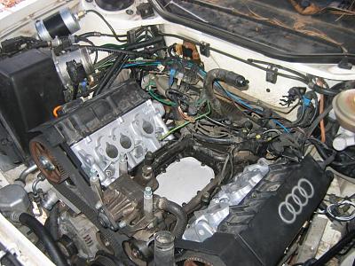 '96 A6 Interfered With!-img_6287.jpg