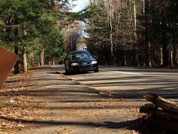 Name:  PB3003292.jpg
Views: 61
Size:  118.3 KB