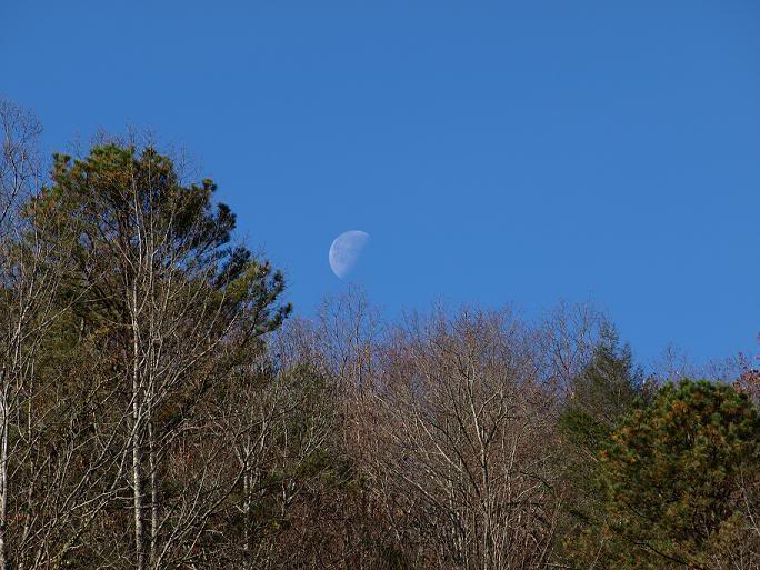 Name:  PB3002902.jpg
Views: 49
Size:  78.7 KB