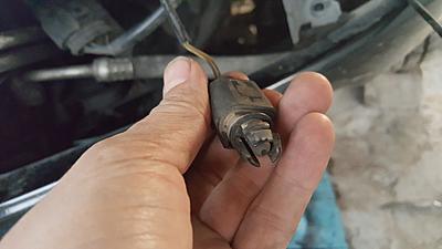 What is this?-20180110_175327.jpg