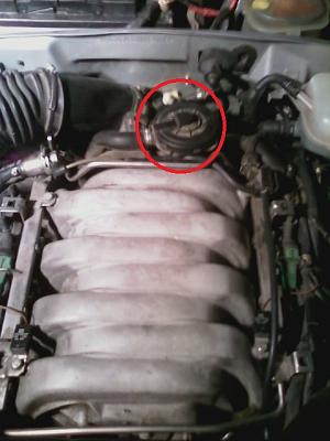 Engine Codes keep popping up-engine.jpg