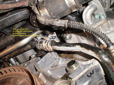 2002 4.2 coolant leak...can't find source...pics-p5150131.jpg