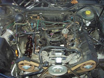 Coolant in #2 and #3 cylinders-p1010001.jpg