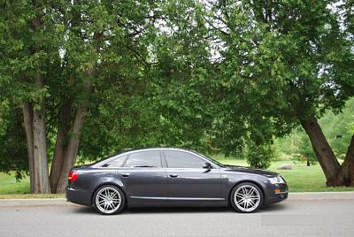 Member Rides-audi-1.jpg