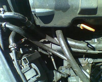 Another Transmission Issue...-0503111357a.jpg