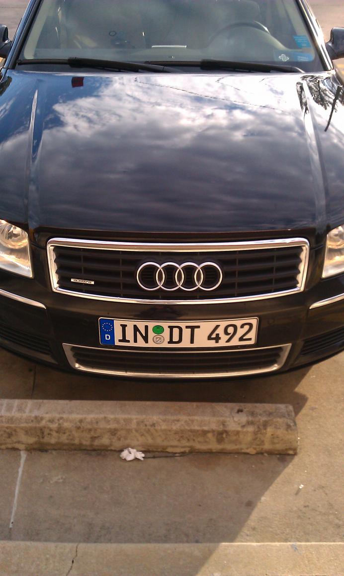 Audi European License Plate