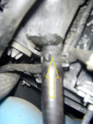 Power Steering Leak-ps-hose-no-10-reservoir.jpg