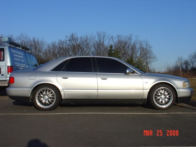 Name:  dsc00231a.jpg
Views: 1062
Size:  66.3 KB