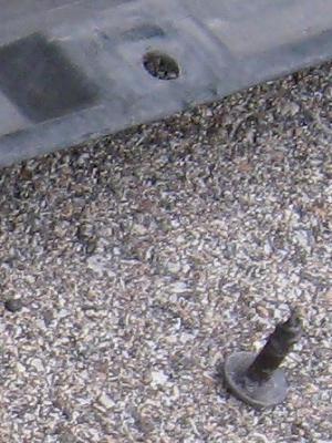 How-to: 2004 A8 Oil Change Procedure-img_1902_undertray_screw_2.jpg