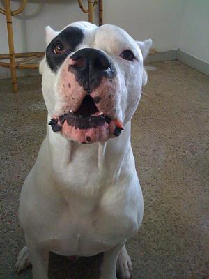 End of the year pics of the TT (56k beware)-ericsiphonepics-033.jpg