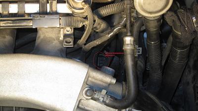 Transmission plug gone? HELP!-img_0203.jpg
