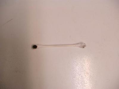 First Time CEL-imgp1716.jpg