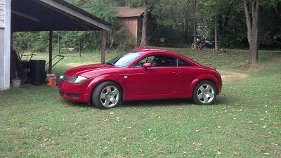  *The OFFICAL pic whore your TT thread*-ttintenn.jpg