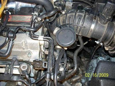 What is this?-104_3211.jpg