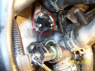 What is this?-104_3212.jpg