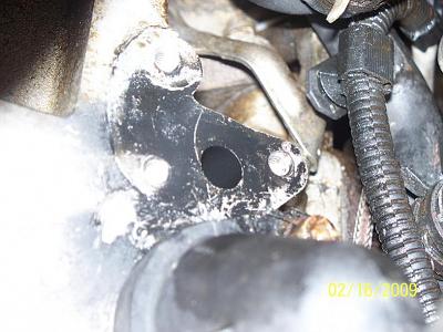 What is this?-104_3214.jpg