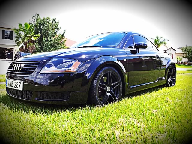 Name:  20130804_121630_Hagrid_Vignette.jpg
Views: 951
Size:  100.5 KB