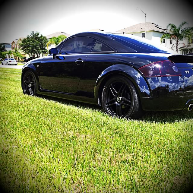 Name:  IMG_20130804_122035_Hagrid_Vignette.jpg
Views: 856
Size:  146.7 KB