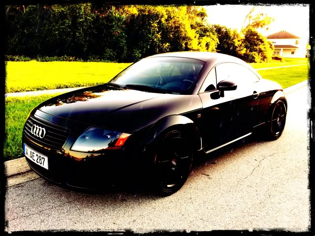 Name:  20130505_193418_Anne_Rain_Cornered3.jpg
Views: 908
Size:  95.7 KB