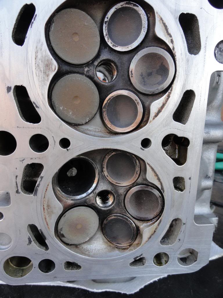 Name:  DSC06481.jpg
Views: 153
Size:  107.6 KB