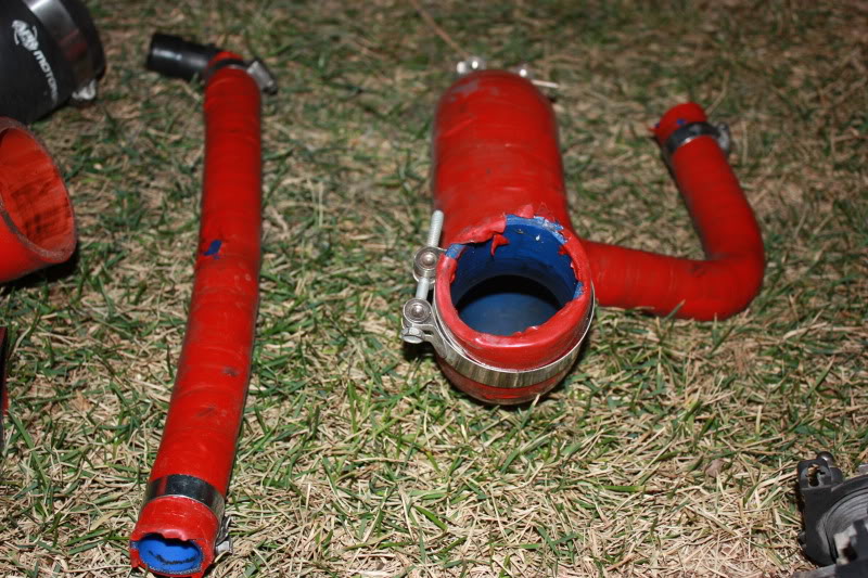 Name:  IMG_1312.jpg
Views: 228
Size:  130.8 KB