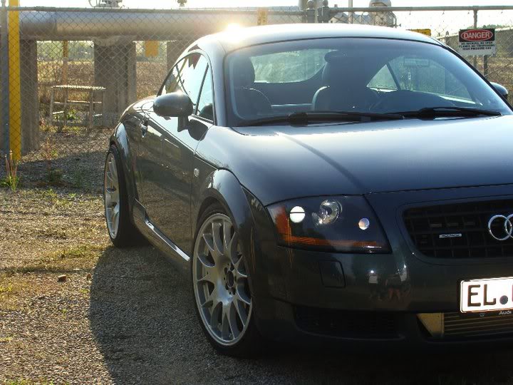 Name:  ttcloseup.jpg
Views: 212
Size:  83.2 KB