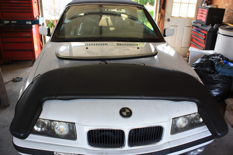 Name:  IMG_0909.jpg
Views: 601
Size:  88.6 KB