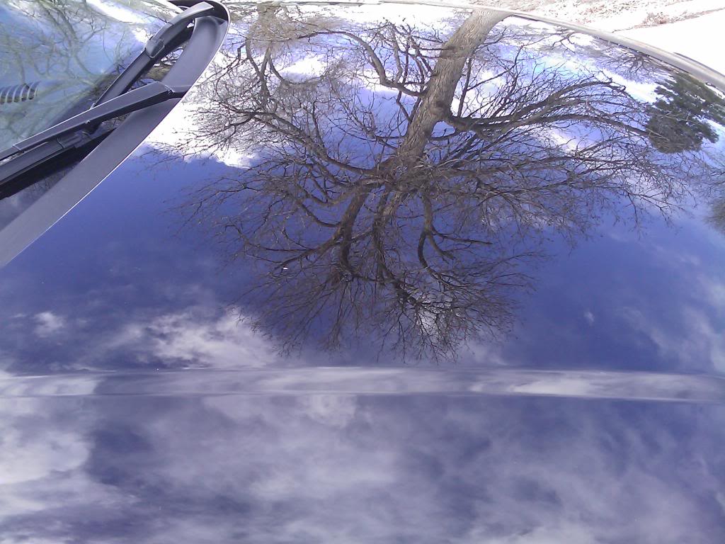 Name:  IMAGE_142.jpg
Views: 63
Size:  117.4 KB