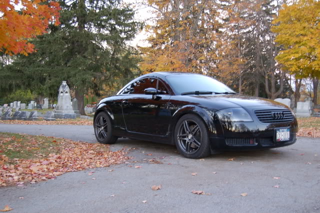 Name:  DSC_0289.jpg
Views: 257
Size:  111.8 KB