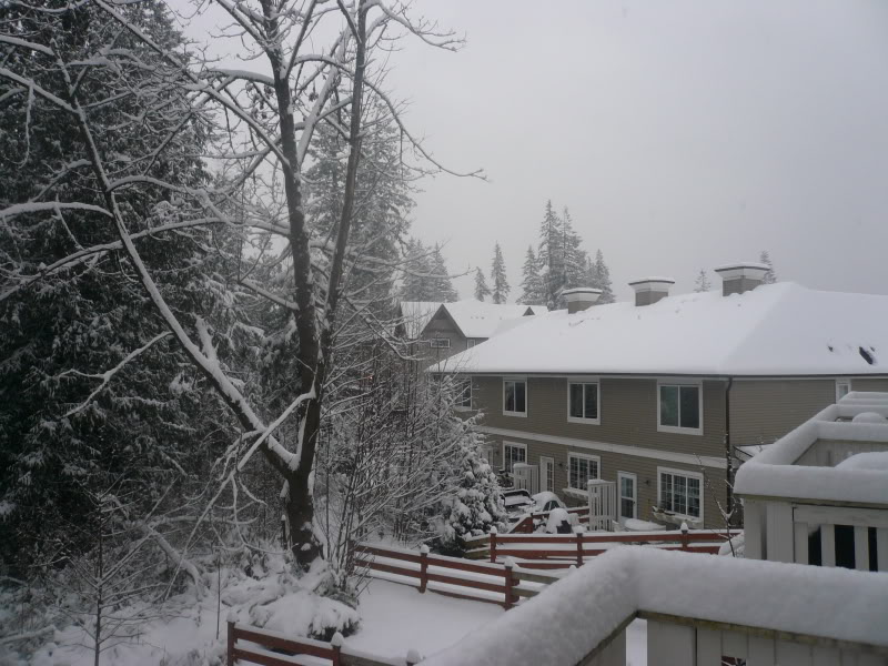 Name: snowday009.jpg
Views: 4075
Size: 115.8 KB