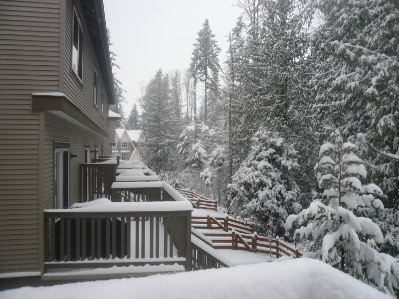 Name: snowday010.jpg
Views: 4133
Size: 135.4 KB