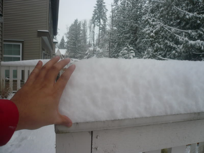 Name: snowday008.jpg
Views: 4189
Size: 67.9 KB
