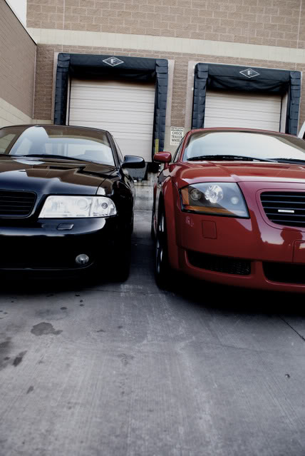 Name:  buddypic.jpg
Views: 171
Size:  51.0 KB