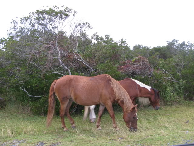 Name:  IMG_1697.jpg
Views: 22
Size:  89.0 KB