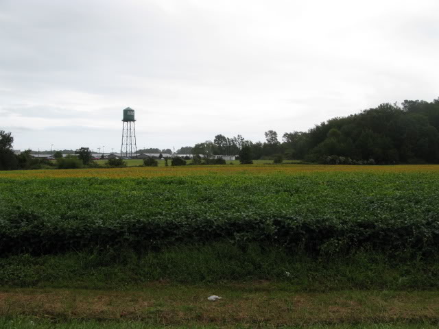 Name:  IMG_1690.jpg
Views: 22
Size:  54.5 KB