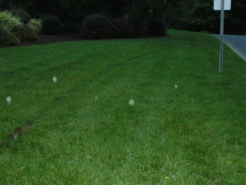 Name:  PICT0008.jpg
Views: 90
Size:  99.3 KB