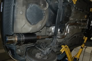 Name:  DSC_3253.jpg
Views: 30
Size:  44.4 KB